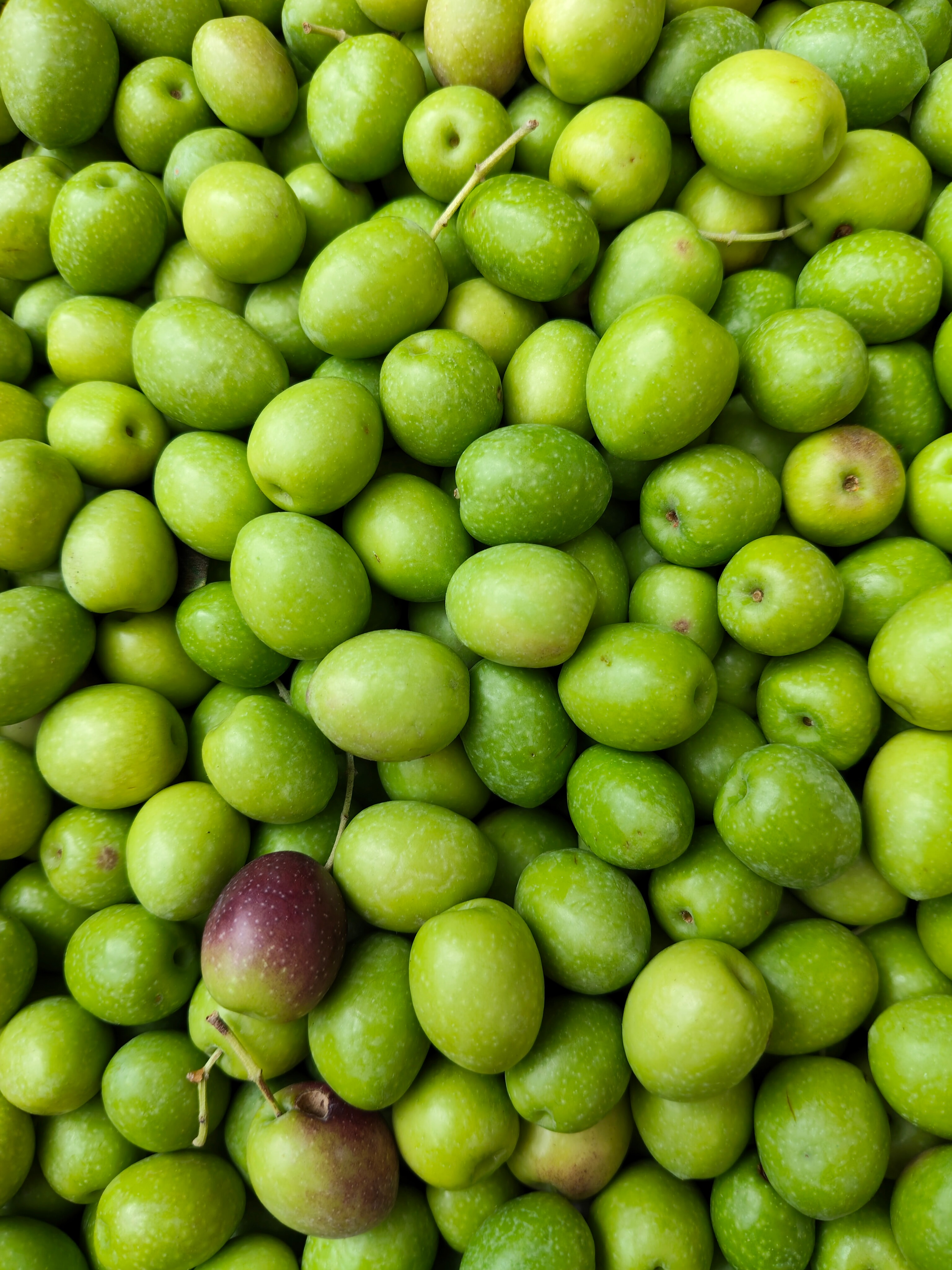 ZEYTİN - MANZELiN CİNSİ HAM ZEYTİN(Kargo Bedavalı)  - 1KG