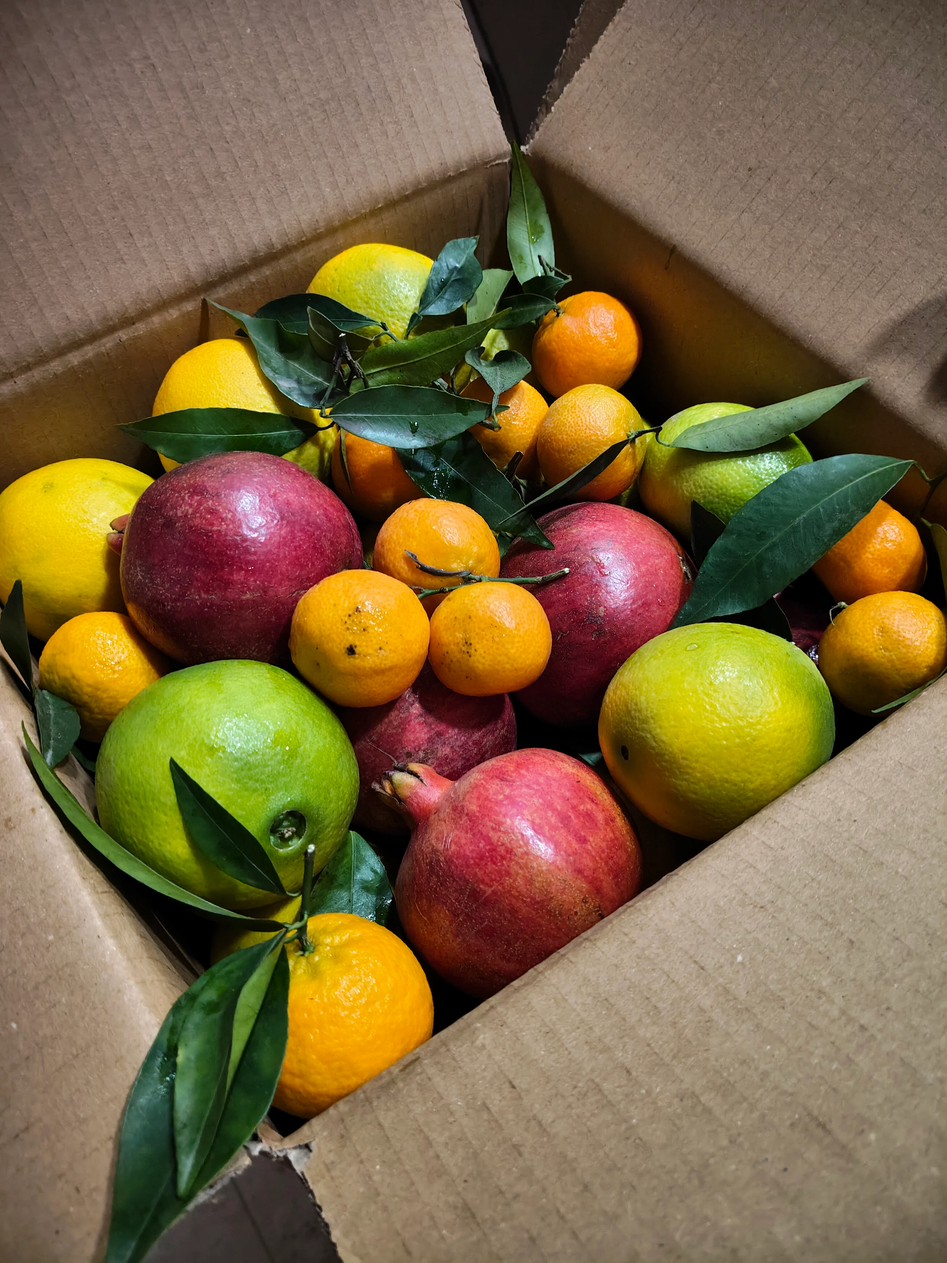 Mandalina-Ekolojik  - 1KG