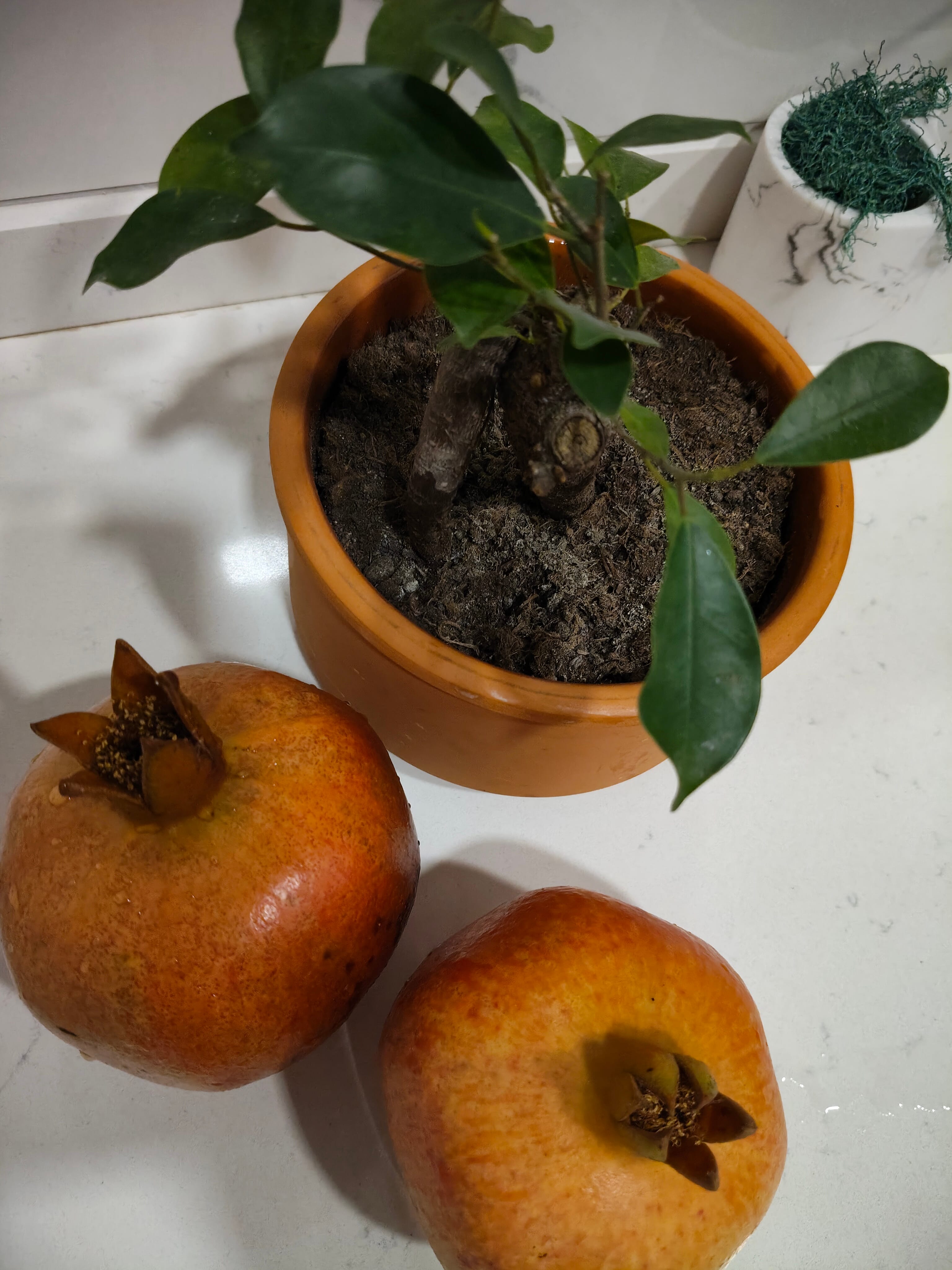 Limon & Nar 10kg Kargo Bedava