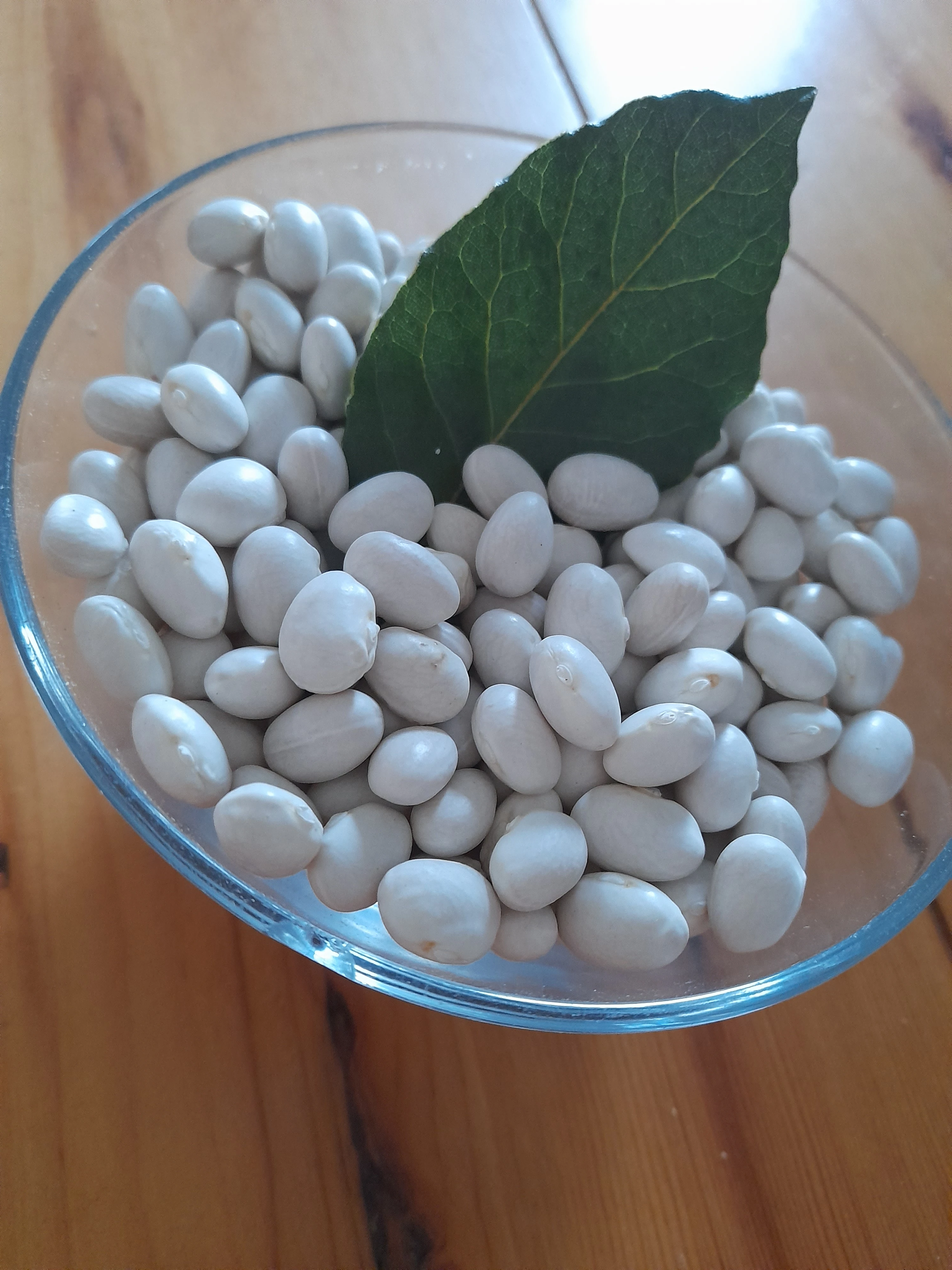 KURU FASULYE - Atalık Ekolojik Mahsül