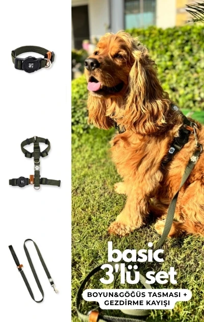 Basic 3'lü Set Boyun & Göğüs Tasması + Gezdirme Kayışı - Haki