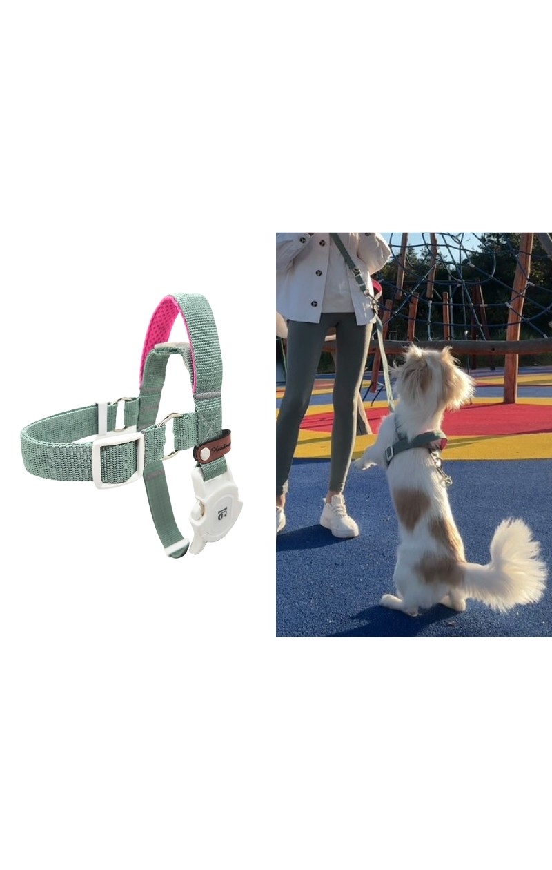 Easy Use - Kolay Giydirilebilir Göğüs Tasması