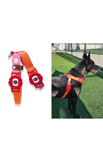 X Tipi Göğüs Tasması