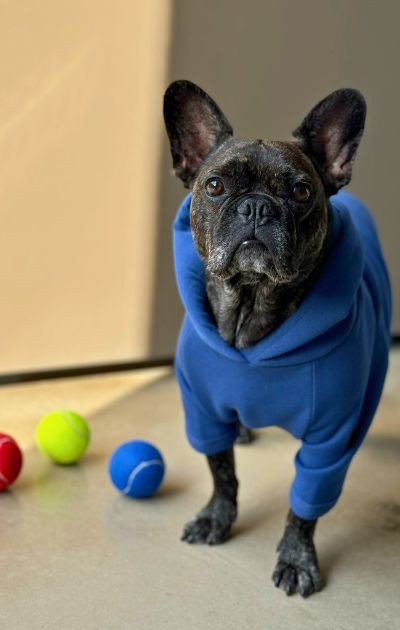 BFF - Yumuşak İçi Polarlı Kapüşonlu KÖPEK Sweatshirtü - İndigo