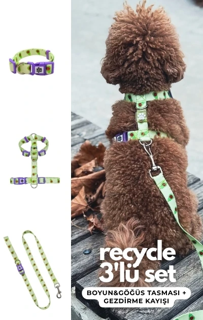 Recycle 3'lü Set Boyun & Göğüs Tasması + Gezdirme Kayışı - Avokado Desenli