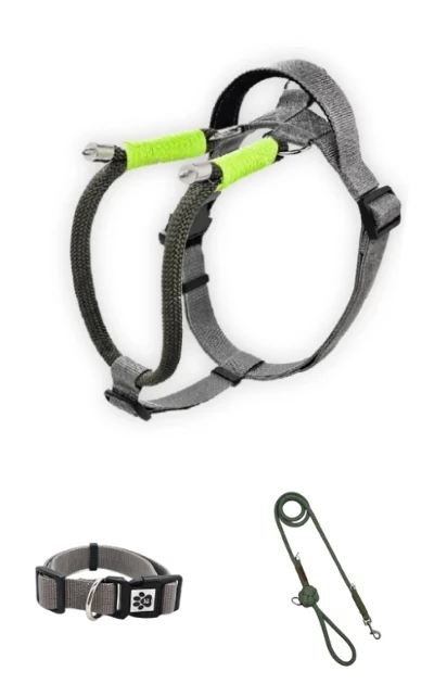 Rope 3'lü Set Boyun & Göğüs Tasması + Gezdirme Kayışı