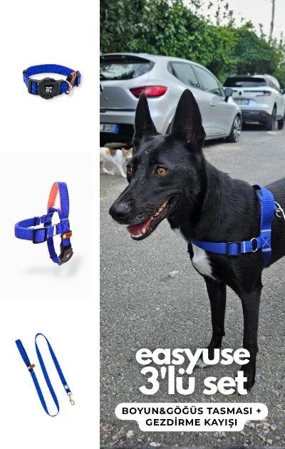 Easy Use 3'lü Set Boyun & Göğüs Tasması + Gezdirme Kayışı - Mavi