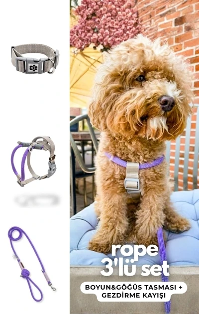 Rope 3'lü Set Boyun & Göğüs Tasması + Gezdirme Kayışı - Lila