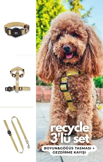 Recycle 3'lü Set Boyun & Göğüs Tasması + Gezdirme Kayışı - Gülen Yüz Desenli