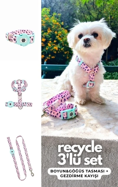 Recycle 3'lü Set Boyun & Göğüs Tasması + Gezdirme Kayışı - Leopar Desenli Mavi