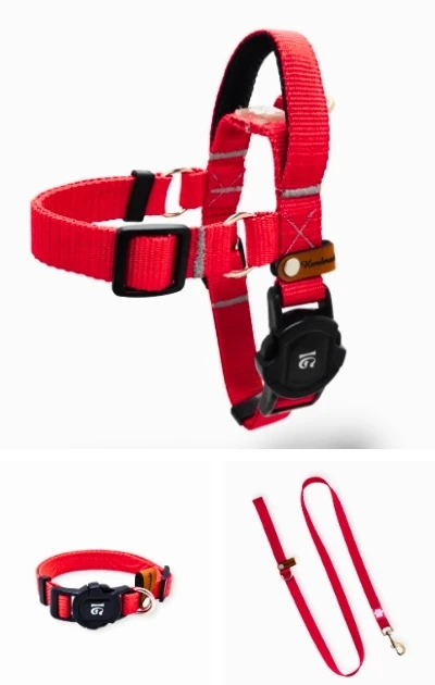 Easy Use 3'lü Set Boyun & Göğüs Tasması + Gezdirme Kayışı