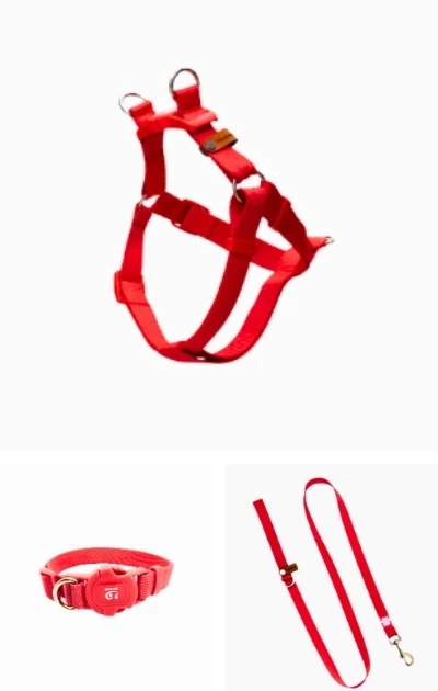 No Pull 3'lü Set Boyun & Göğüs Tasması + Gezdirme Kayışı