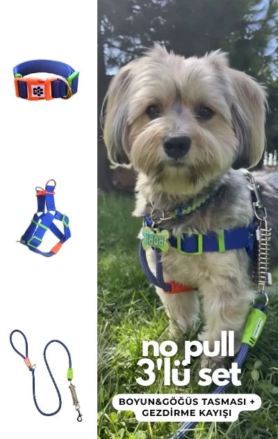 No Pull 3'lü Set Boyun & Göğüs Tasması + Gezdirme Kayışı (İsteğe Bağlı Anti Şok Yay) - Saks