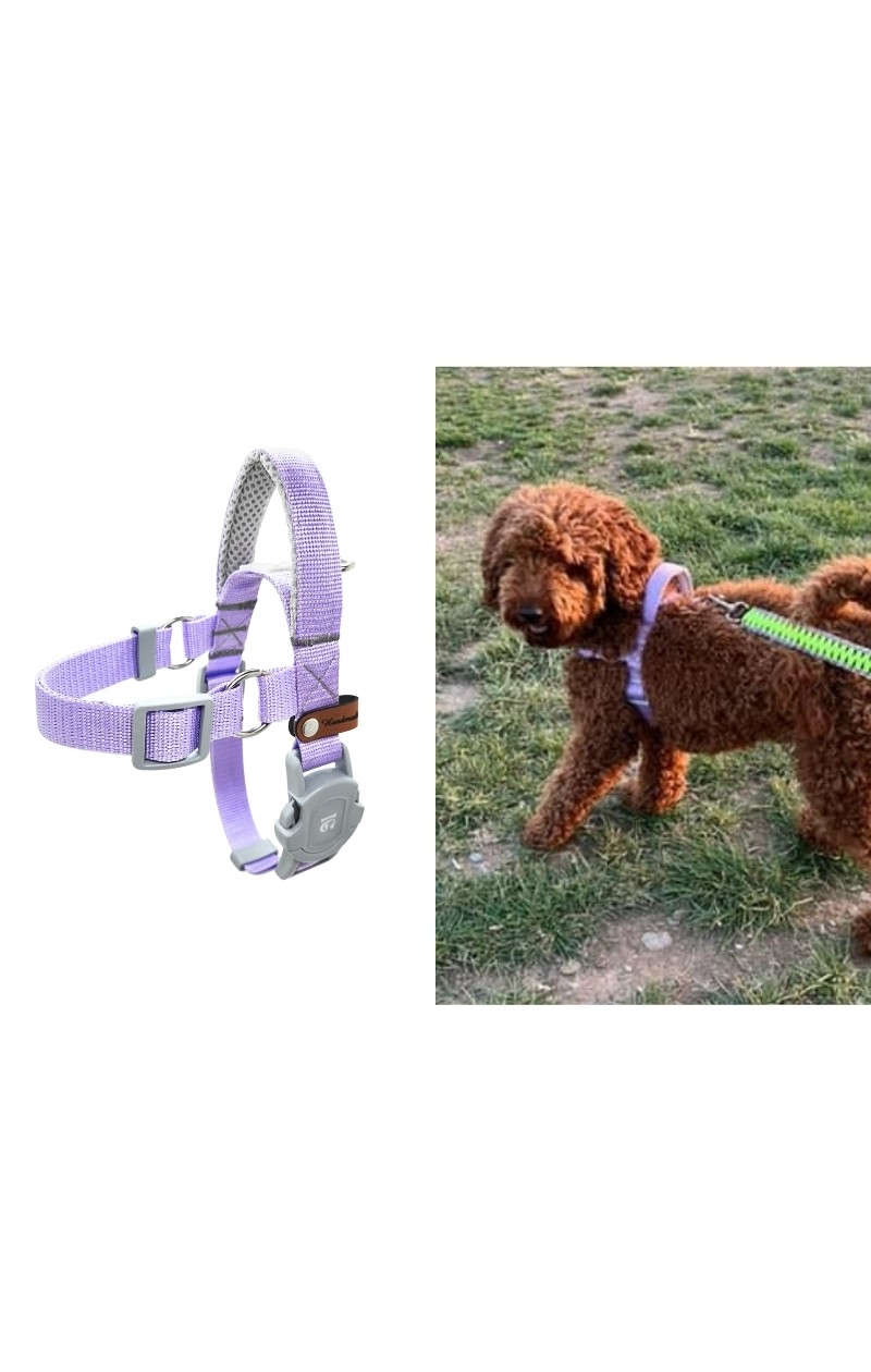 Easy Use - Kolay Giydirilebilir Göğüs Tasması