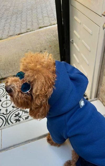 BFF - Yumuşak İçi Polarlı Kapüşonlu KÖPEK Sweatshirtü - İndigo