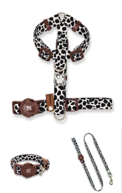 Recycle 3'lü Set Boyun & Göğüs Tasması + Gezdirme Kayışı