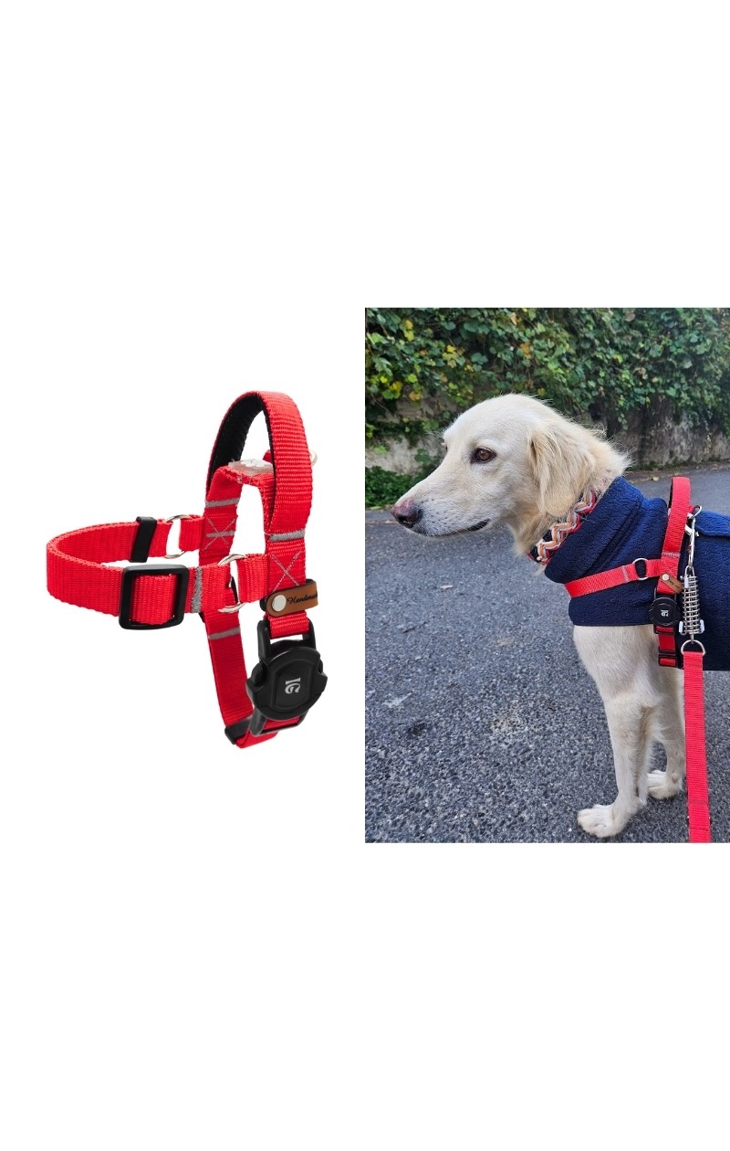 Easy Use - Kolay Giydirilebilir Göğüs Tasması
