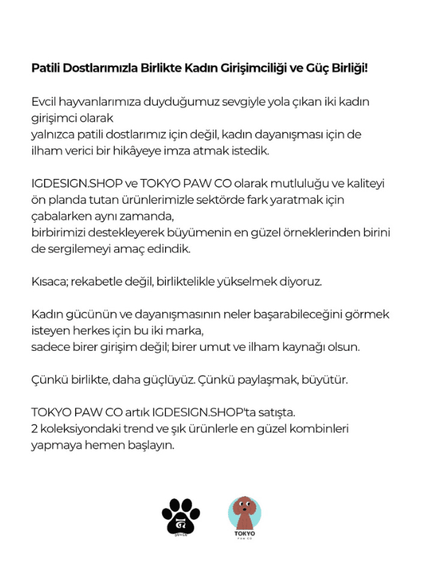 Marin - Kedi Köpek Boncuklu Charmlı Kolye