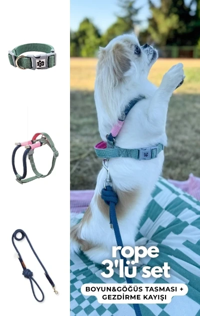 Rope 3'lü Set Boyun & Göğüs Tasması + Gezdirme Kayışı - Lacivert