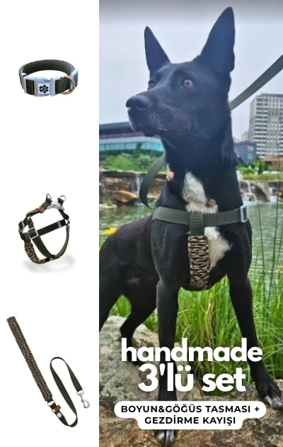 Handmade 3'lü Set Boyun & Göğüs Tasması + Gezdirme Kayışı - Haki