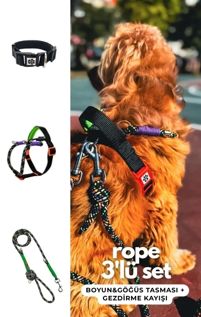 Rope 3'lü Set Boyun & Göğüs Tasması + Gezdirme Kayışı - Çok Renkli