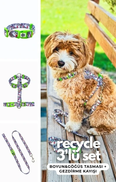 Recycle 3'lü Set Boyun & Göğüs Tasması + Gezdirme Kayışı - KuruKafa Desenli