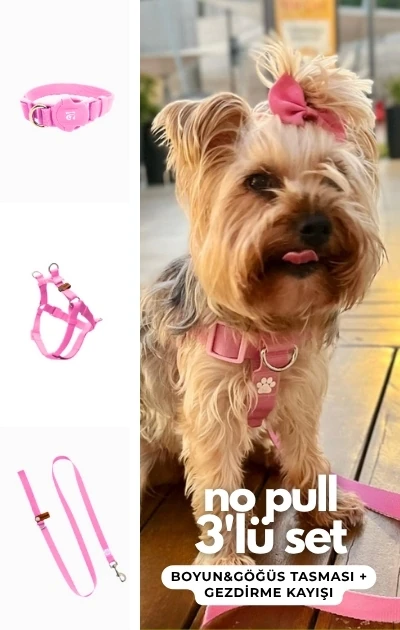 No Pull 3'lü Set Boyun & Göğüs Tasması + Gezdirme Kayışı - Pembe