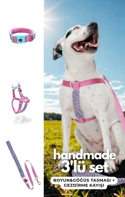 Handmade 3'lü Set Boyun & Göğüs Tasması + Gezdirme Kayışı - Pembe