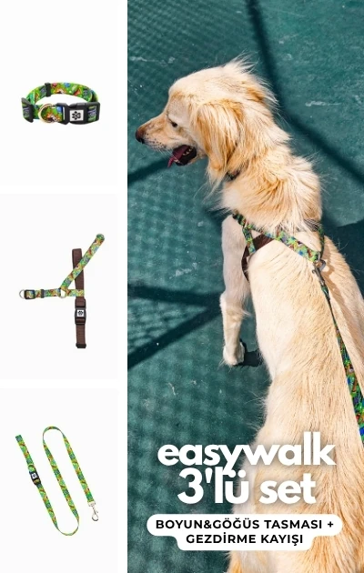 Easywalk 3'lü Set Boyun & Göğüs Tasması + Gezdirme Kayışı - Popart Yeşil