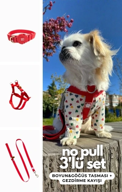 No Pull 3'lü Set Boyun & Göğüs Tasması + Gezdirme Kayışı - Kırmızı