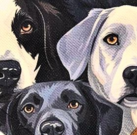 Köpek Desenli3