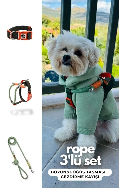 Rope 3'lü Set Boyun & Göğüs Tasması + Gezdirme Kayışı - Mint