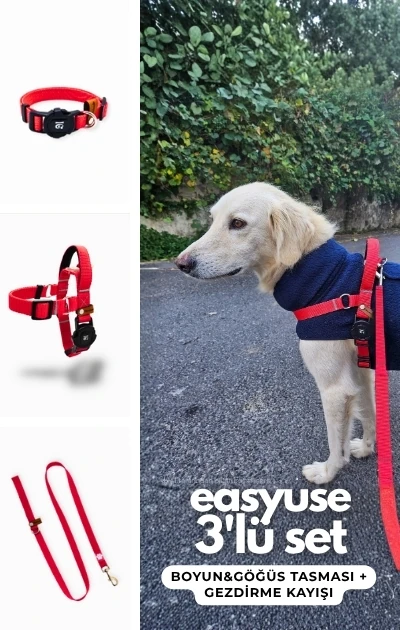Easy Use 3'lü Set Boyun & Göğüs Tasması + Gezdirme Kayışı - Kırmızı