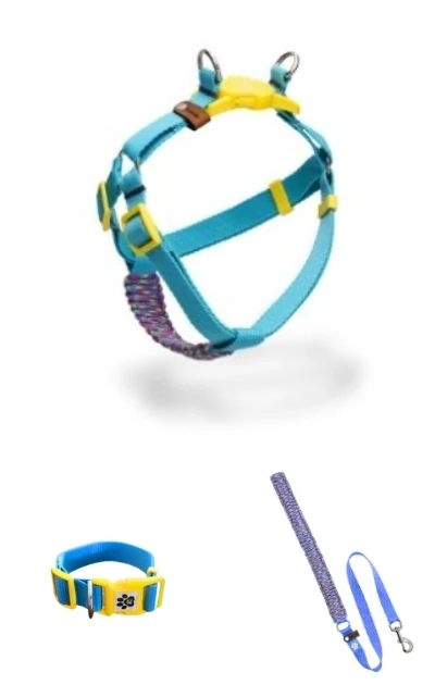 Handmade 3'lü Set Boyun & Göğüs Tasması + Gezdirme Kayışı