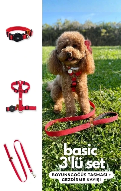 Basic 3'lü Set Boyun & Göğüs Tasması + Gezdirme Kayışı - Kırmızı