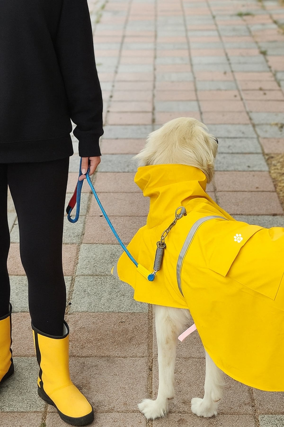 Reflektör Özellikli Su Geçirmez Köpek Yağmurluğu - Tüm Irklar
