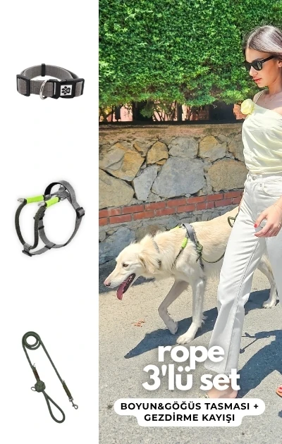Rope 3'lü Set Boyun & Göğüs Tasması + Gezdirme Kayışı - Haki