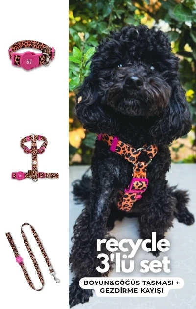Recycle 3'lü Set Boyun & Göğüs Tasması + Gezdirme Kayışı - Leopar Desenli Fuşya