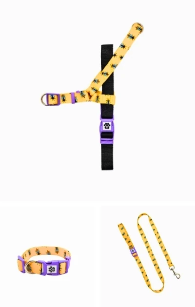 Easywalk 3'lü Set Boyun & Göğüs Tasması + Gezdirme Kayışı