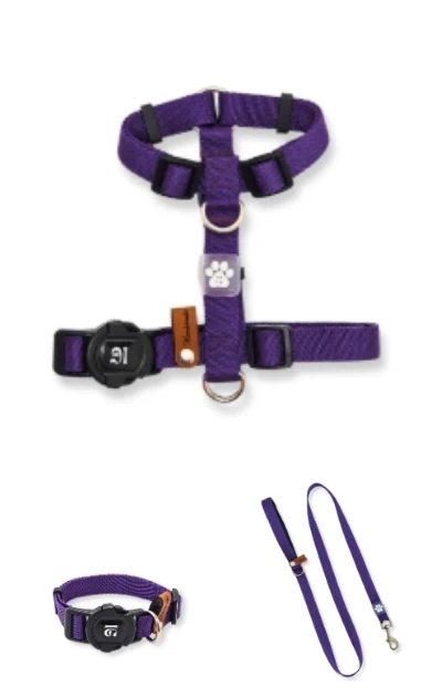 Basic 3'lü Set Boyun & Göğüs Tasması + Gezdirme Kayışı