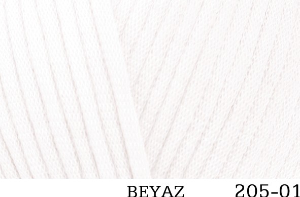 205-01