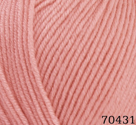 70431