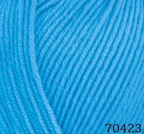 70423
