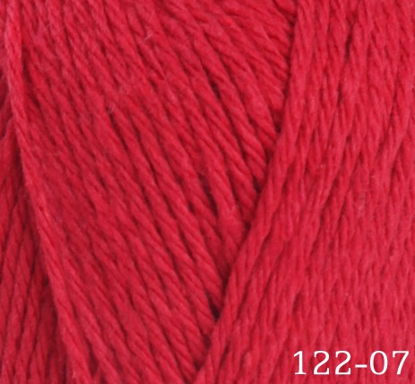 12207