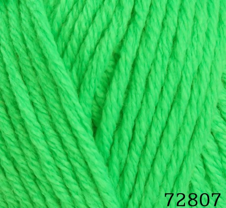 72807