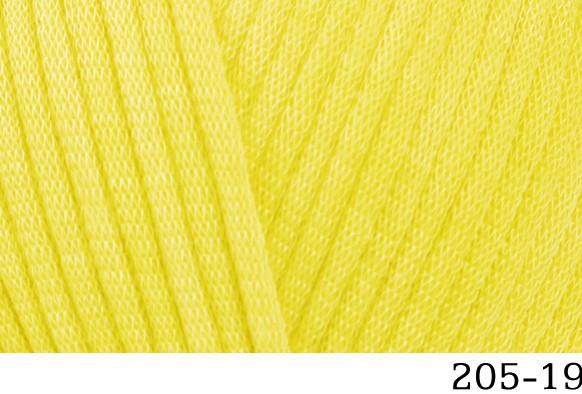 205-19