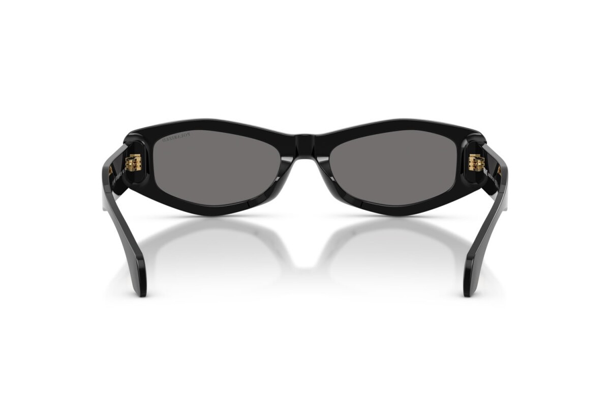 Black Acetate Sunglasses 0VE4487GB1/8154