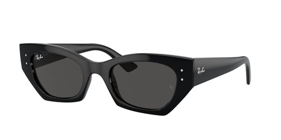 Black Sunglasses 0RB443066778749