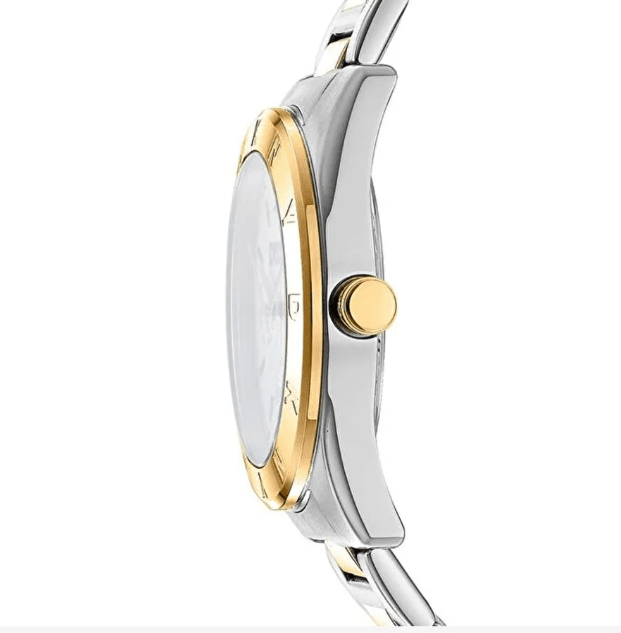 Chambers Gold Metal Stainless Steel Women's Watch DK1L015M0055
