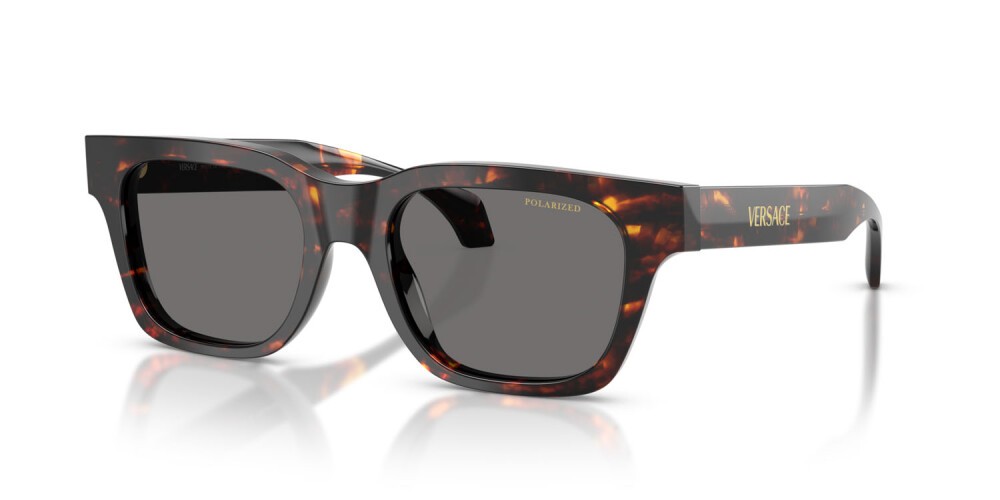 Acetate Brown Sunglasses 0VE4486